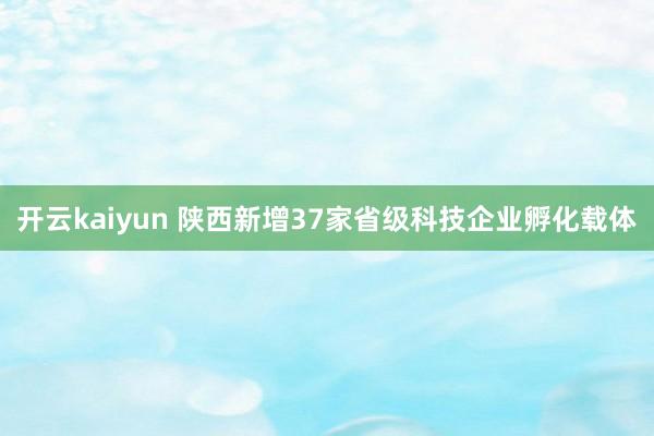 开云kaiyun 陕西新增37家省级科技企业孵化载体