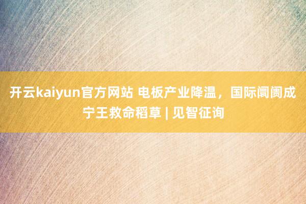 开云kaiyun官方网站 电板产业降温，国际阛阓成宁王救命稻草 | 见智征询