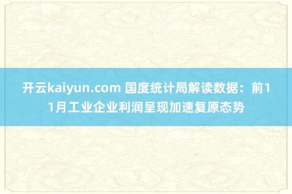开云kaiyun.com 国度统计局解读数据：前11月工业企业利润呈现加速复原态势