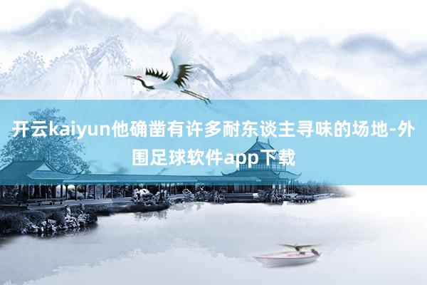 开云kaiyun他确凿有许多耐东谈主寻味的场地-外围足球软件app下载