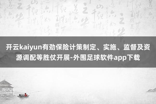 开云kaiyun有劲保险计策制定、实施、监督及资源调配等胜仗开展-外围足球软件app下载