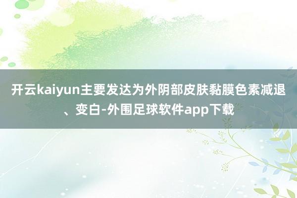 开云kaiyun主要发达为外阴部皮肤黏膜色素减退、变白-外围足球软件app下载