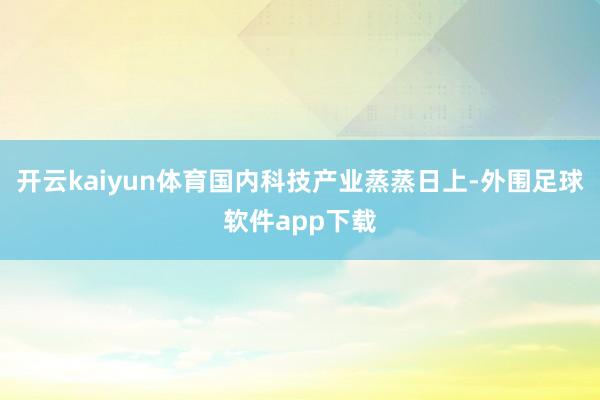 开云kaiyun体育国内科技产业蒸蒸日上-外围足球软件app下载