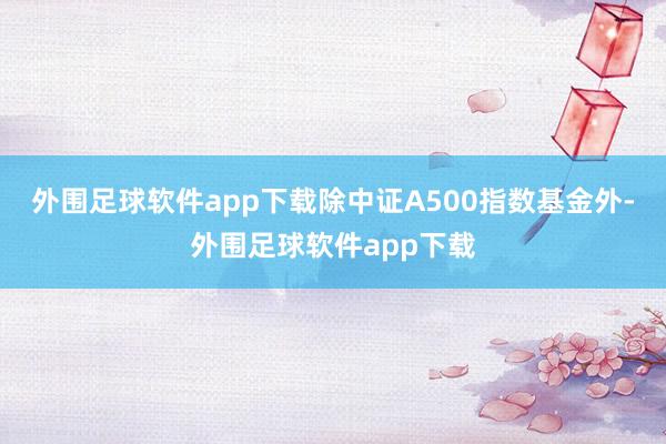 外围足球软件app下载除中证A500指数基金外-外围足球软件app下载