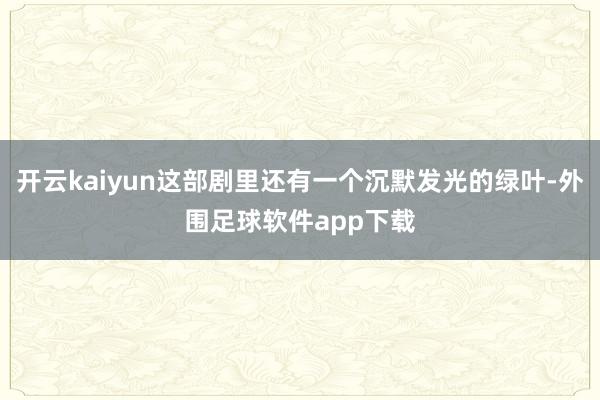 开云kaiyun这部剧里还有一个沉默发光的绿叶-外围足球软件app下载