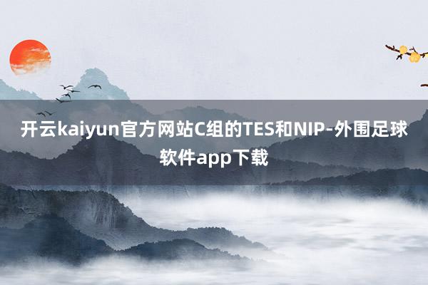 开云kaiyun官方网站C组的TES和NIP-外围足球软件app下载