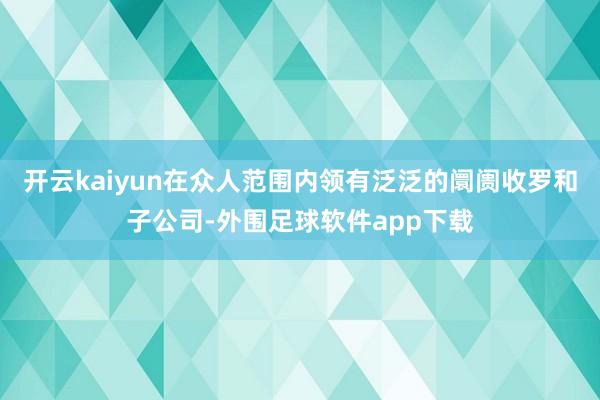 开云kaiyun在众人范围内领有泛泛的阛阓收罗和子公司-外围足球软件app下载