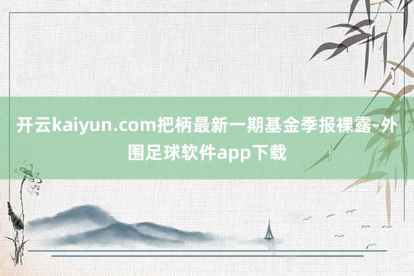 开云kaiyun.com把柄最新一期基金季报裸露-外围足球软件app下载
