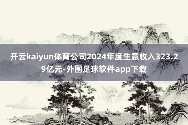 开云kaiyun体育公司2024年度生意收入323.29亿元-外围足球软件app下载