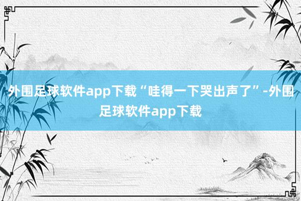 外围足球软件app下载“哇得一下哭出声了”-外围足球软件app下载