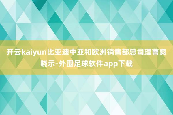 开云kaiyun比亚迪中亚和欧洲销售部总司理曹爽晓示-外围足球软件app下载