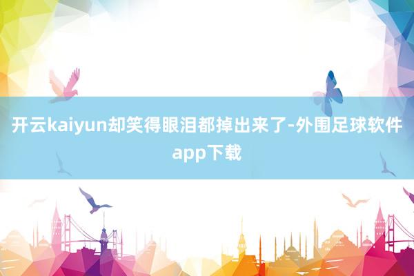 开云kaiyun却笑得眼泪都掉出来了-外围足球软件app下载