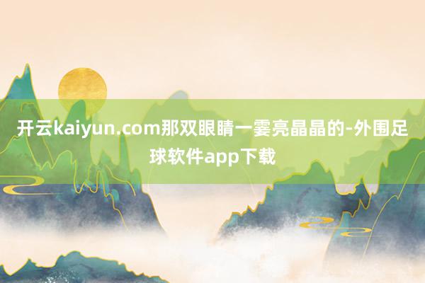 开云kaiyun.com那双眼睛一霎亮晶晶的-外围足球软件app下载