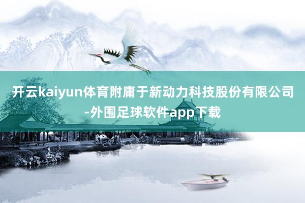 开云kaiyun体育附庸于新动力科技股份有限公司-外围足球软件app下载