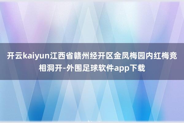 开云kaiyun江西省赣州经开区金凤梅园内红梅竞相洞开-外围足球软件app下载