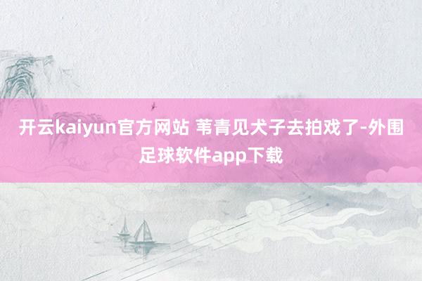 开云kaiyun官方网站 苇青见犬子去拍戏了-外围足球软件app下载
