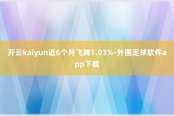 开云kaiyun近6个月飞腾1.03%-外围足球软件app下载