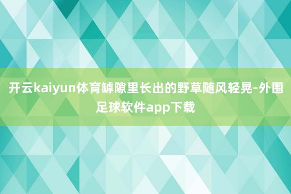 开云kaiyun体育罅隙里长出的野草随风轻晃-外围足球软件app下载