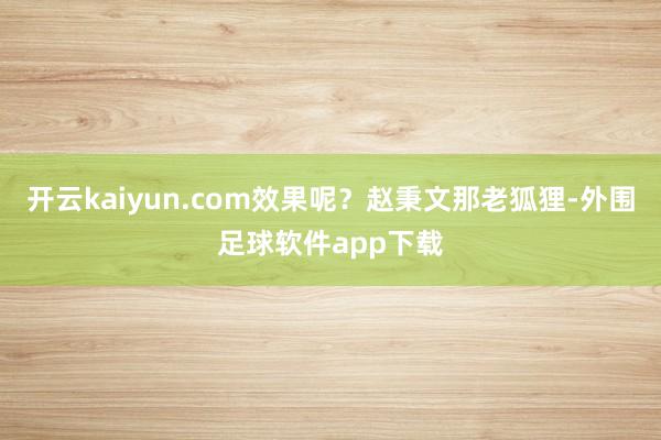 开云kaiyun.com效果呢？赵秉文那老狐狸-外围足球软件app下载