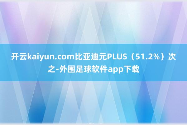 开云kaiyun.com比亚迪元PLUS（51.2%）次之-外围足球软件app下载