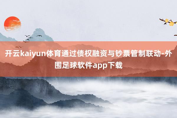 开云kaiyun体育通过债权融资与钞票管制联动-外围足球软件app下载