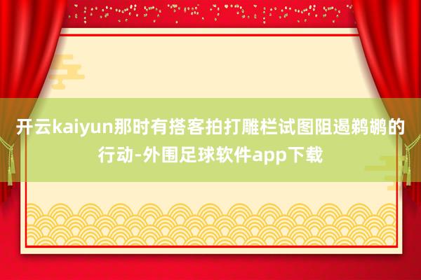 开云kaiyun那时有搭客拍打雕栏试图阻遏鹈鹕的行动-外围足球软件app下载