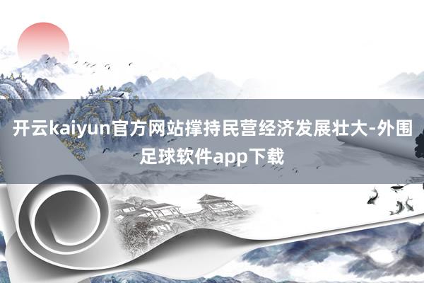 开云kaiyun官方网站撑持民营经济发展壮大-外围足球软件app下载