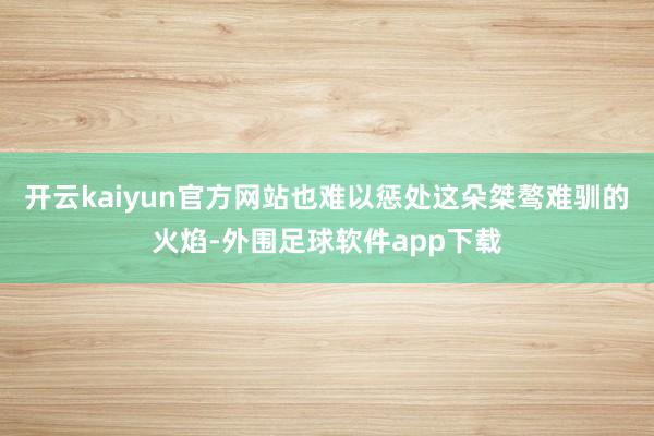 开云kaiyun官方网站也难以惩处这朵桀骜难驯的火焰-外围足球软件app下载