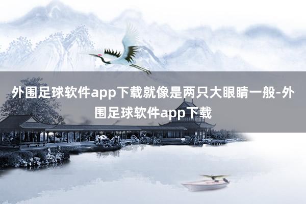 外围足球软件app下载就像是两只大眼睛一般-外围足球软件app下载