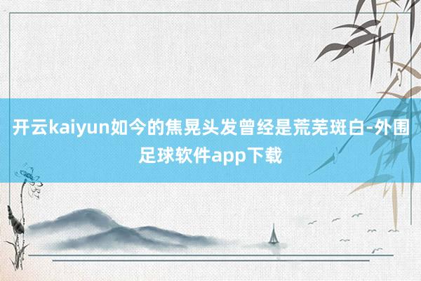 开云kaiyun如今的焦晃头发曾经是荒芜斑白-外围足球软件app下载