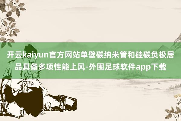 开云kaiyun官方网站单壁碳纳米管和硅碳负极居品具备多项性能上风-外围足球软件app下载