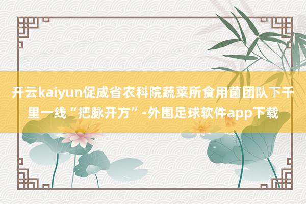 开云kaiyun促成省农科院蔬菜所食用菌团队下千里一线“把脉开方”-外围足球软件app下载