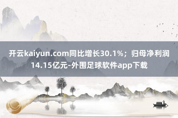 开云kaiyun.com同比增长30.1%;归母净利润14.15亿元-外围足球软件app下载
