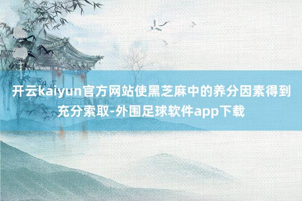 开云kaiyun官方网站使黑芝麻中的养分因素得到充分索取-外围足球软件app下载