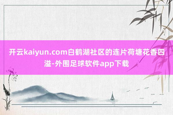 开云kaiyun.com白鹤湖社区的连片荷塘花香四溢-外围足球软件app下载