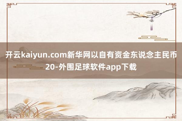 开云kaiyun.com新华网以自有资金东说念主民币20-外围足球软件app下载