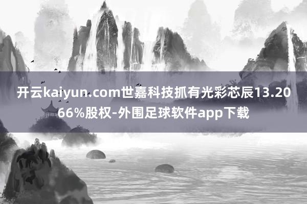 开云kaiyun.com世嘉科技抓有光彩芯辰13.2066%股权-外围足球软件app下载