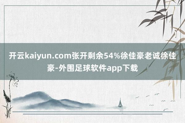 开云kaiyun.com张开剩余54%徐佳豪老诚徐佳豪-外围足球软件app下载