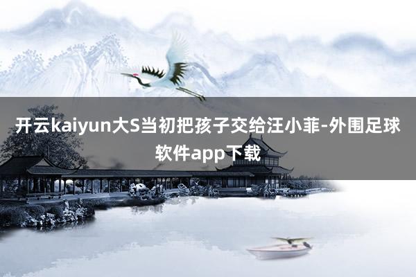 开云kaiyun大S当初把孩子交给汪小菲-外围足球软件app下载