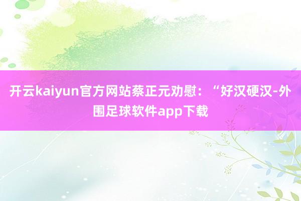 开云kaiyun官方网站蔡正元劝慰：“好汉硬汉-外围足球软件app下载