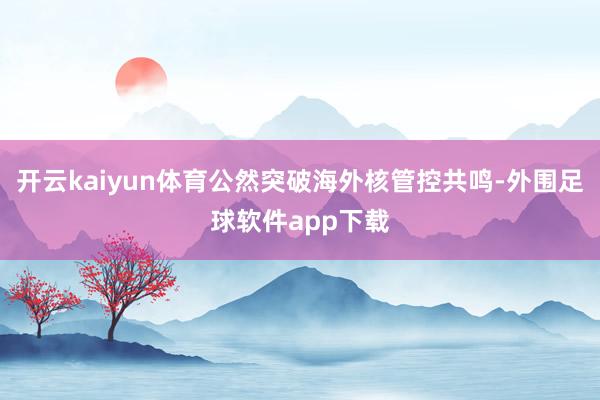 开云kaiyun体育公然突破海外核管控共鸣-外围足球软件app下载
