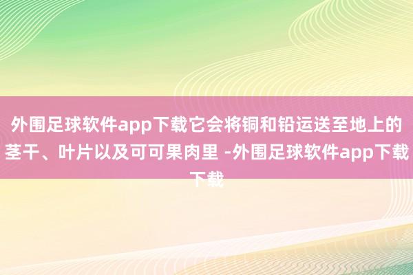 外围足球软件app下载它会将铜和铅运送至地上的茎干、叶片以及可可果肉里 -外围足球软件app下载