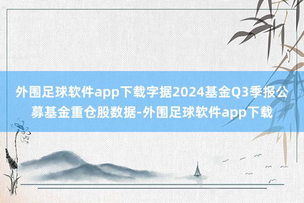 外围足球软件app下载字据2024基金Q3季报公募基金重仓股数据-外围足球软件app下载