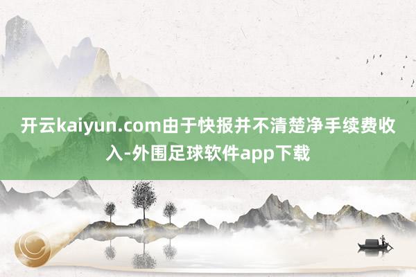 开云kaiyun.com由于快报并不清楚净手续费收入-外围足球软件app下载