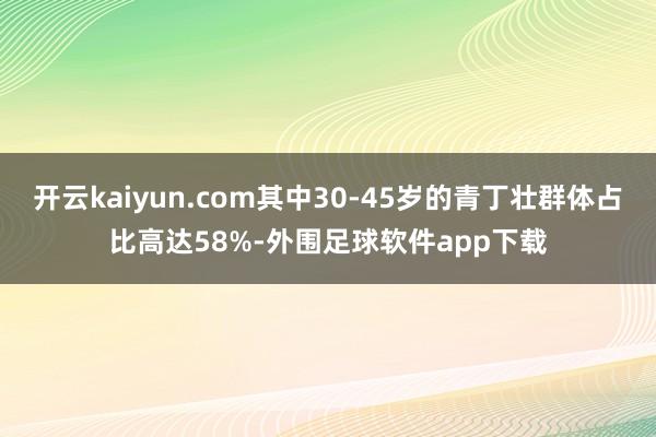 开云kaiyun.com其中30-45岁的青丁壮群体占比高达58%-外围足球软件app下载