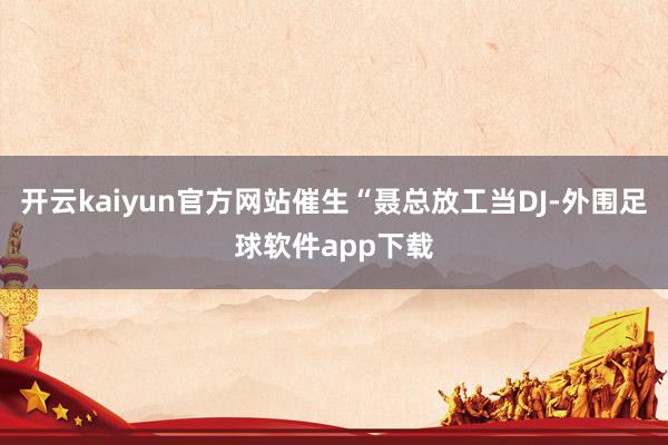 开云kaiyun官方网站催生“聂总放工当DJ-外围足球软件app下载