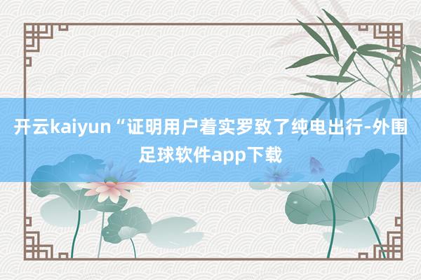 开云kaiyun“证明用户着实罗致了纯电出行-外围足球软件app下载